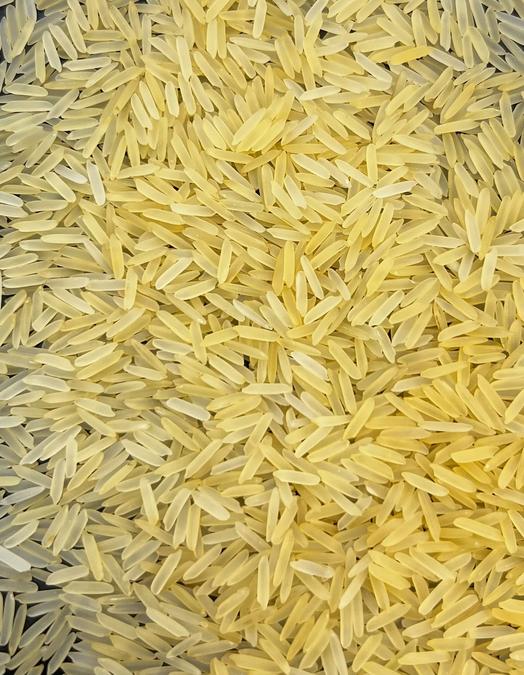 1121 Golden Sella Basmati Rice from UrbanFresh Rice Mills
