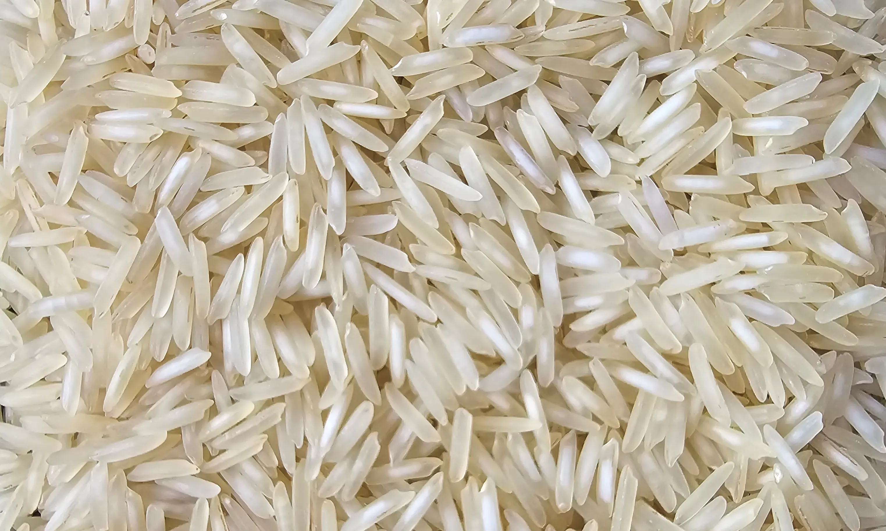 1121 Steam Basmati Rice from UrbanFresh Rice Mills