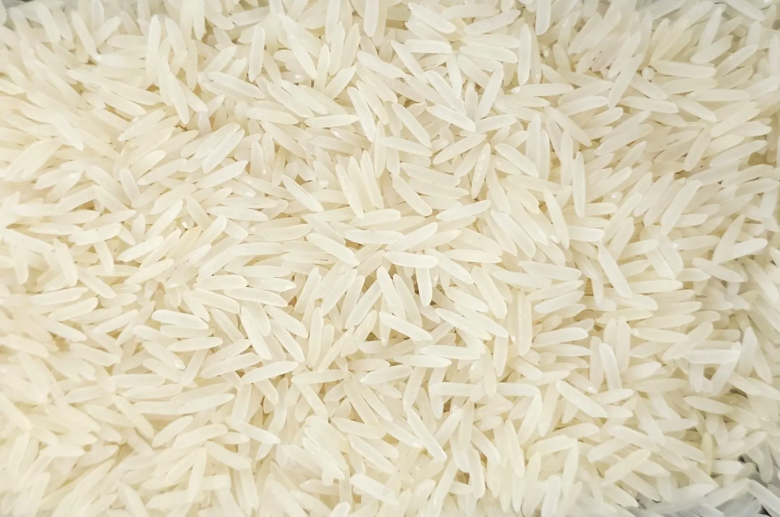 1401 White Sella Basmati Rice from UrbanFresh Rice Mills