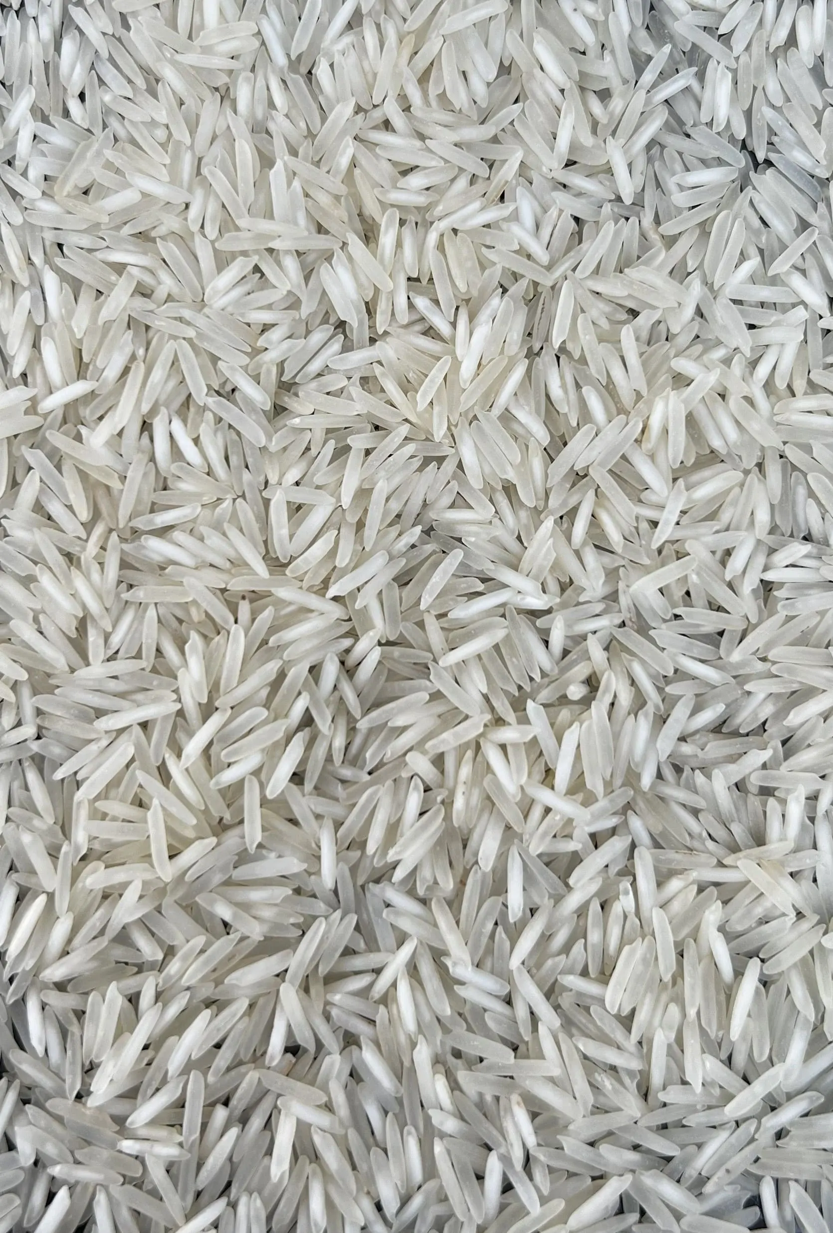 1401 Steam Basmati rice grains