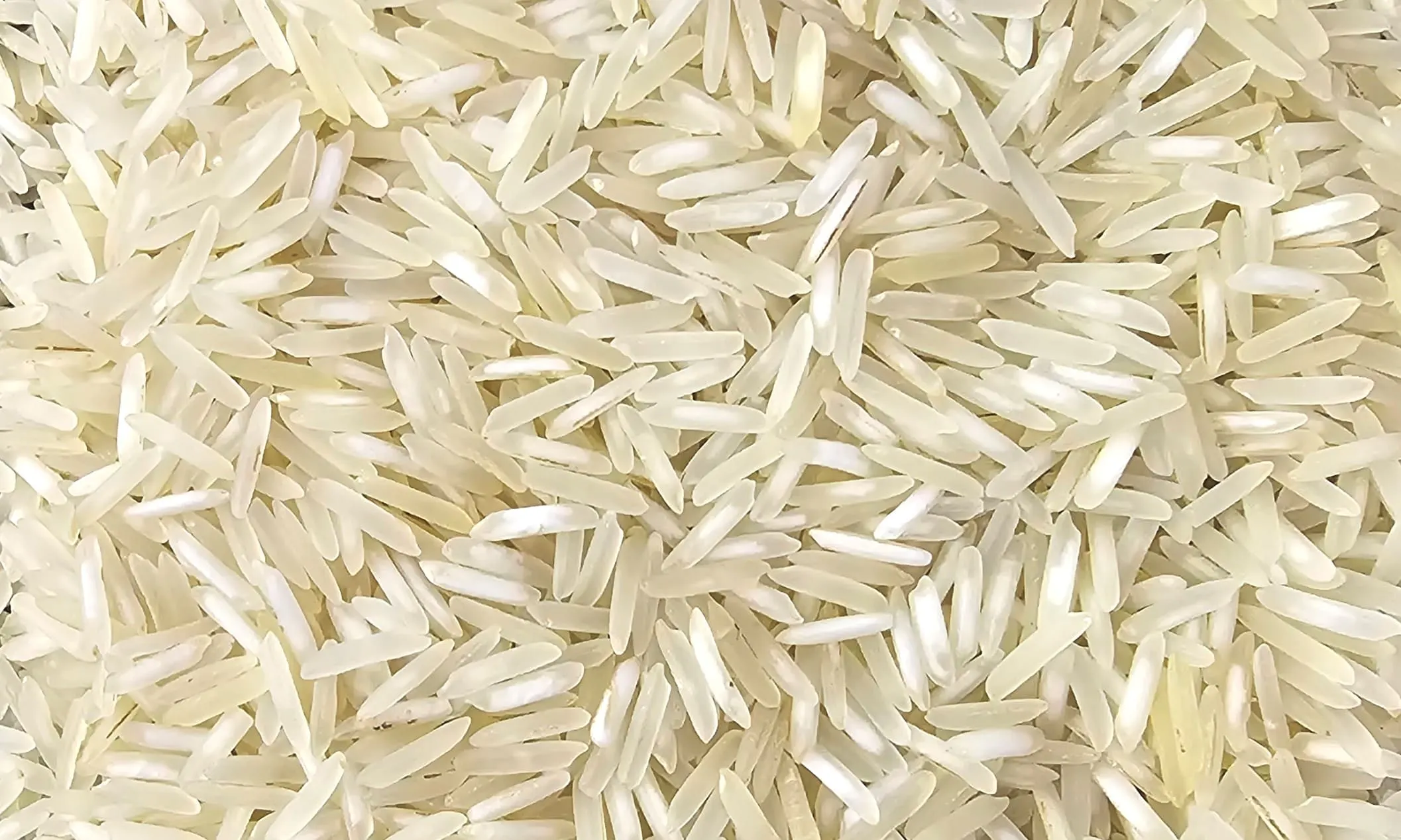 1509 Steam Basmati Rice from UrbanFresh Rice Mills