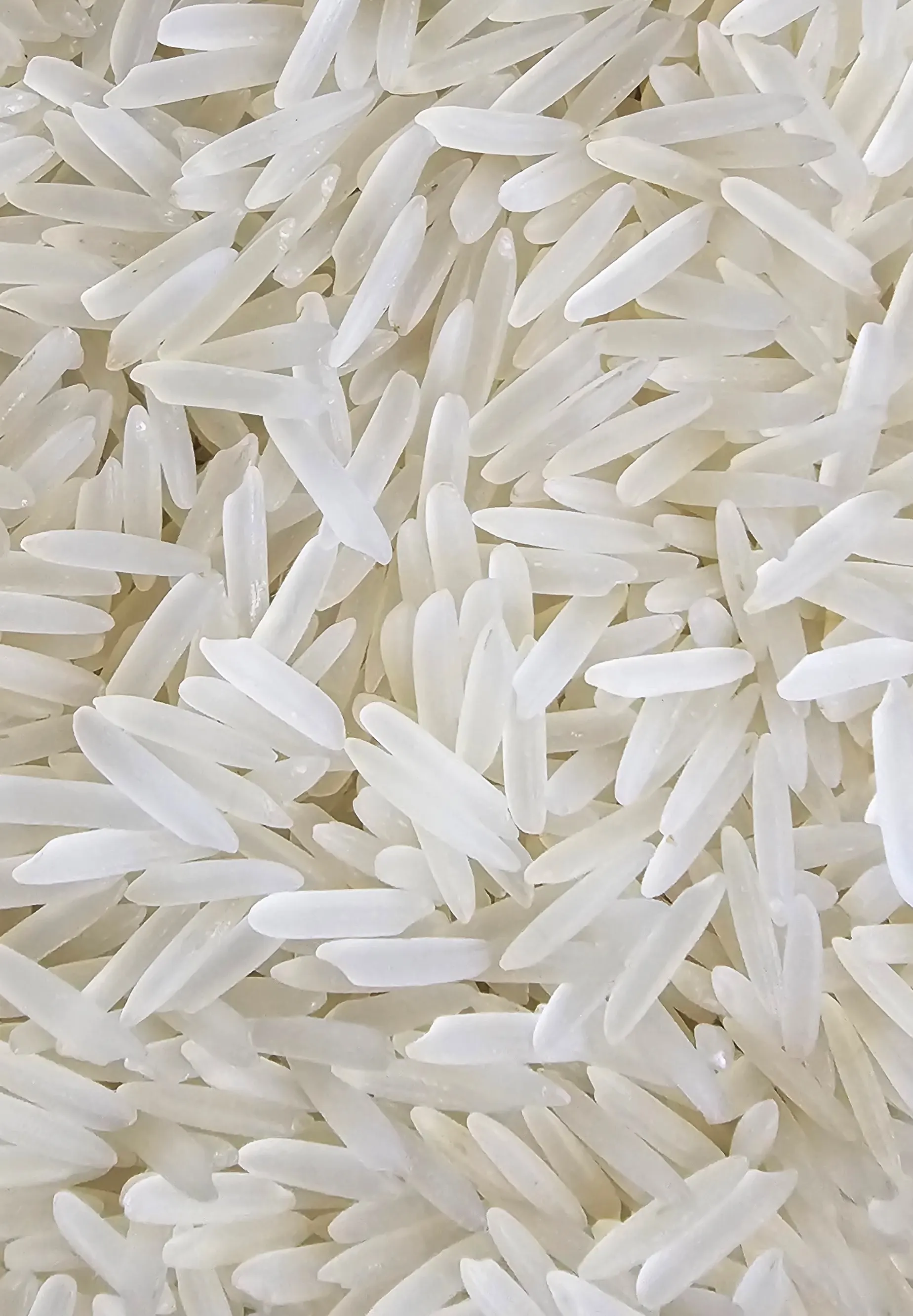 1718 Steam Basmati Rice from UrbanFresh Rice Mills