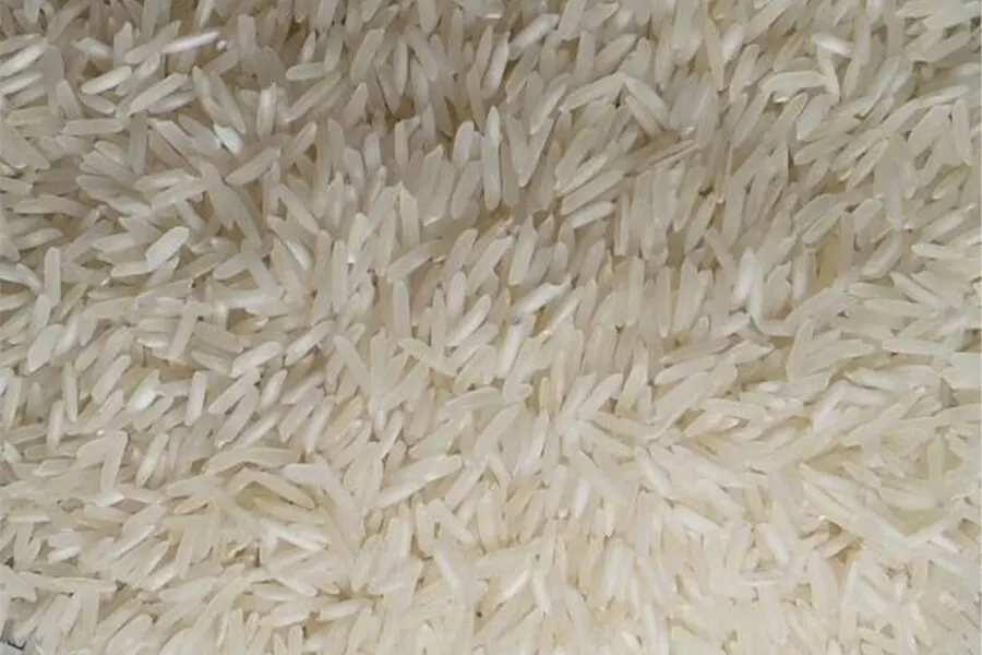 Sona Masoori Raw Rice from UrbanFresh Rice Mills
