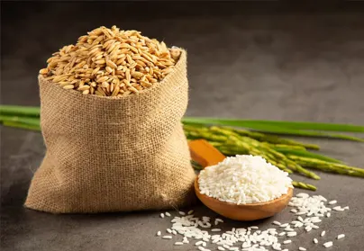 Paddy and white rice presented in jute and bowls