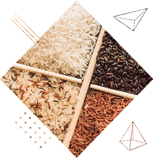UrbanFresh rice mill infrastructure in Karnal