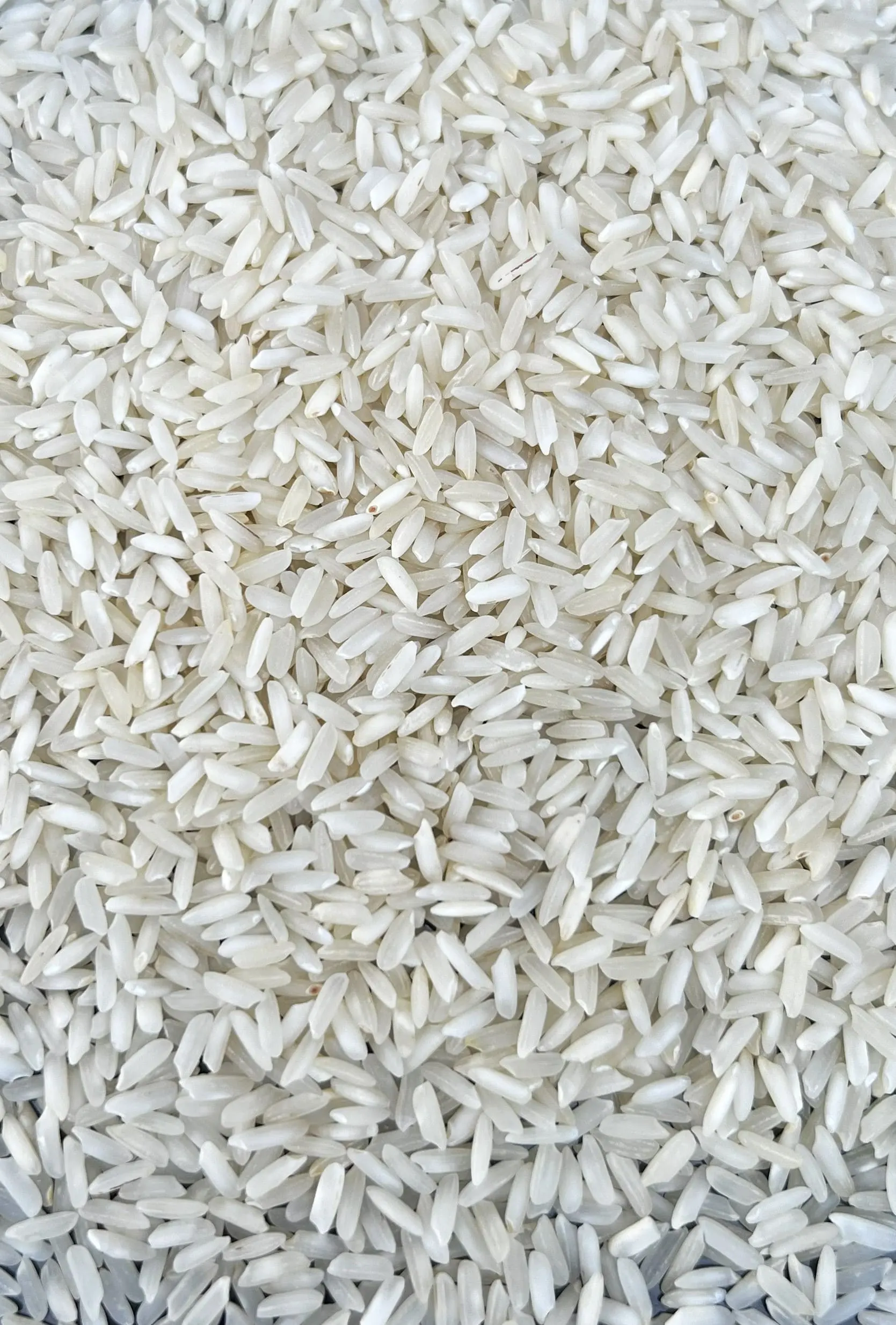 Parmal Steam Rice from UrbanFresh Rice Mills