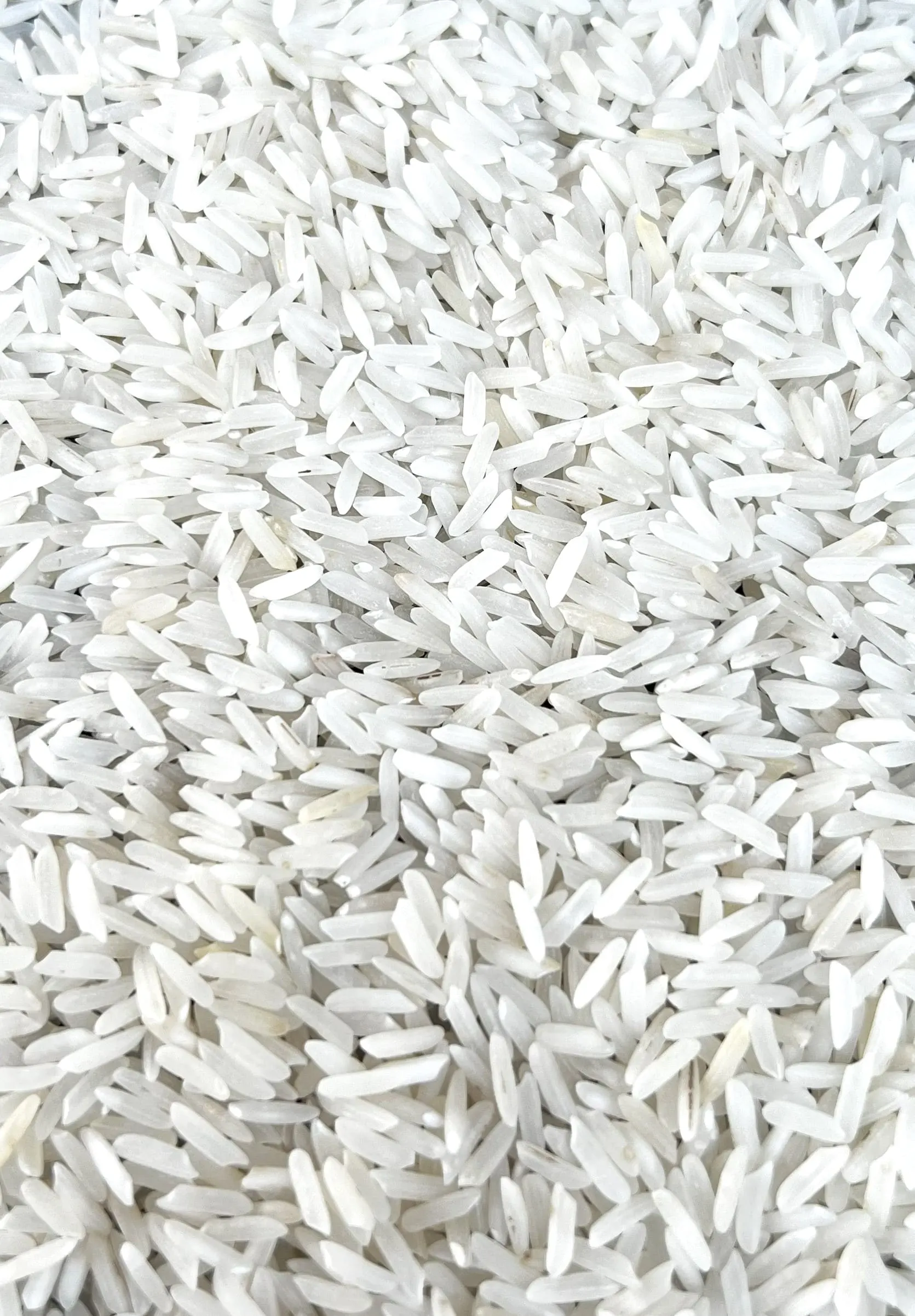 PR 11 Raw Rice from UrbanFresh Rice Mills
