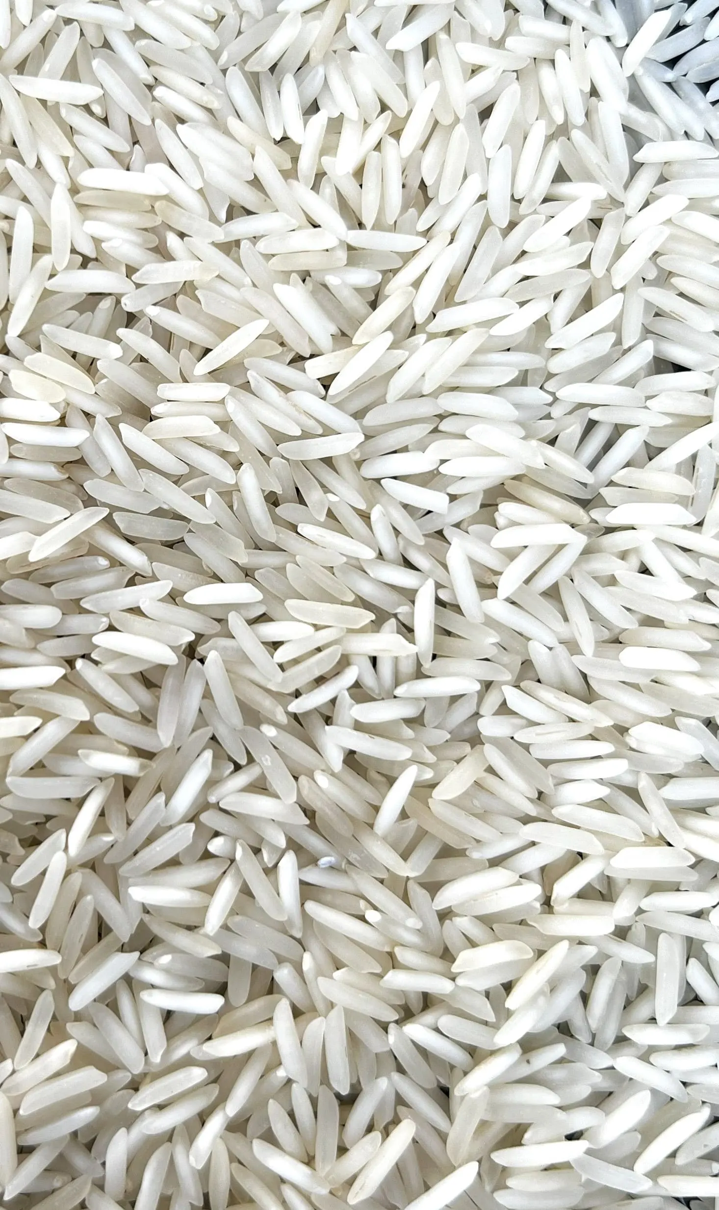 PR 11 Steam Rice from UrbanFresh Rice Mills