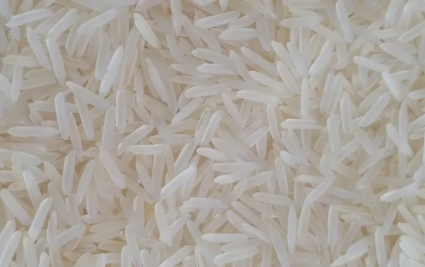 1401 Pesticide Residue Free Raw Rice from UrbanFresh Rice Mills