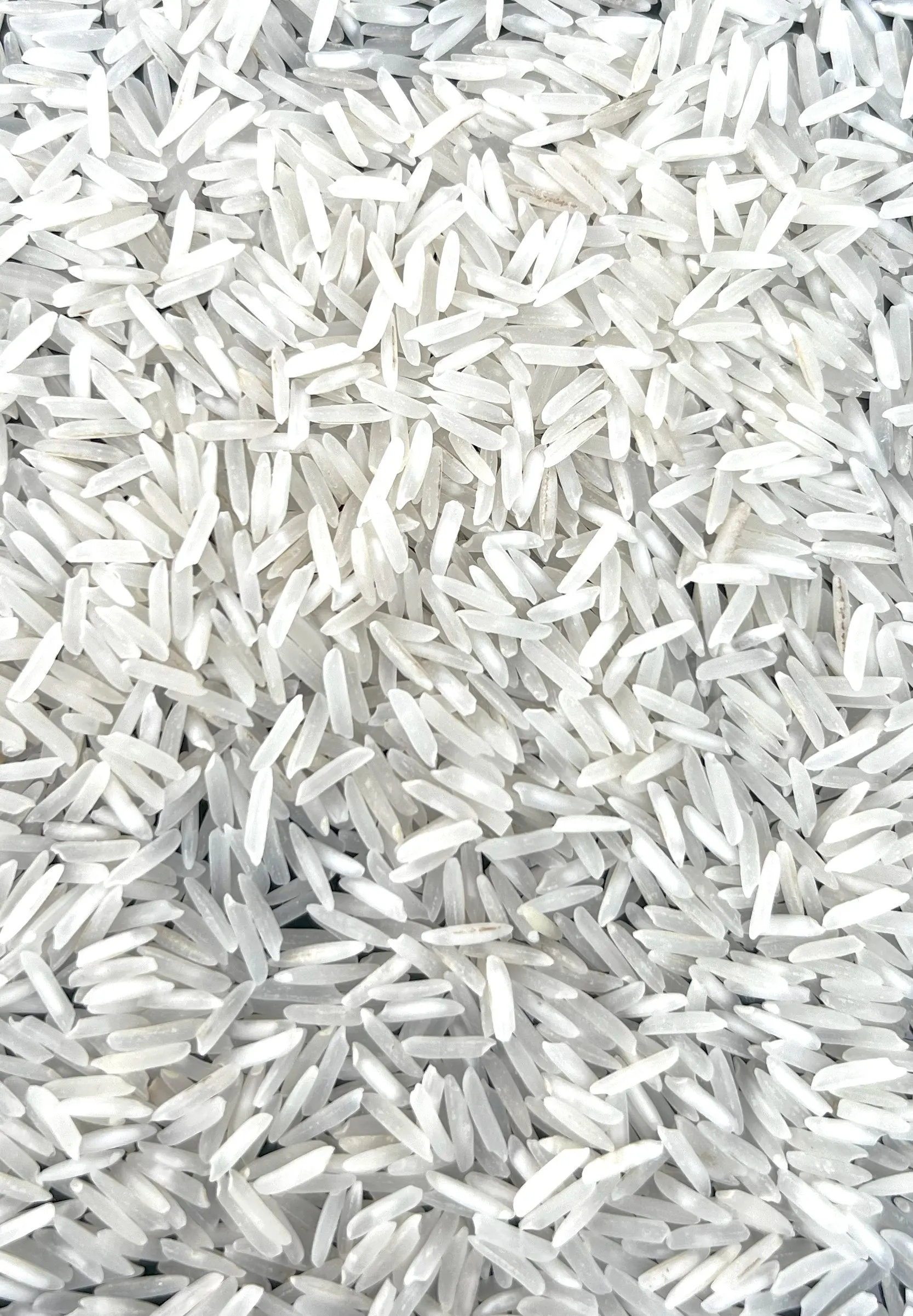 Pusa Pesticide Residue Free Raw Rice from UrbanFresh Rice Mills
