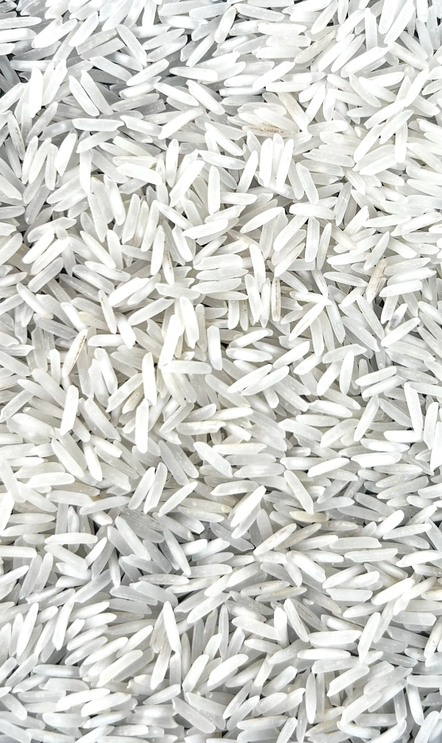 Pusa Sella Basmati Rice from UrbanFresh Rice Mills