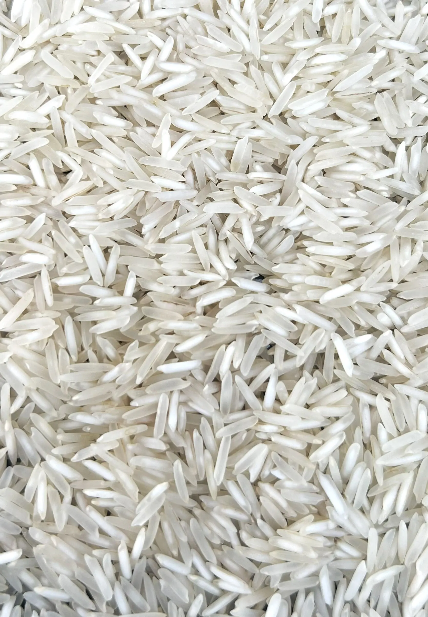 Pusa Steam Basmati Rice from UrbanFresh Rice Mills