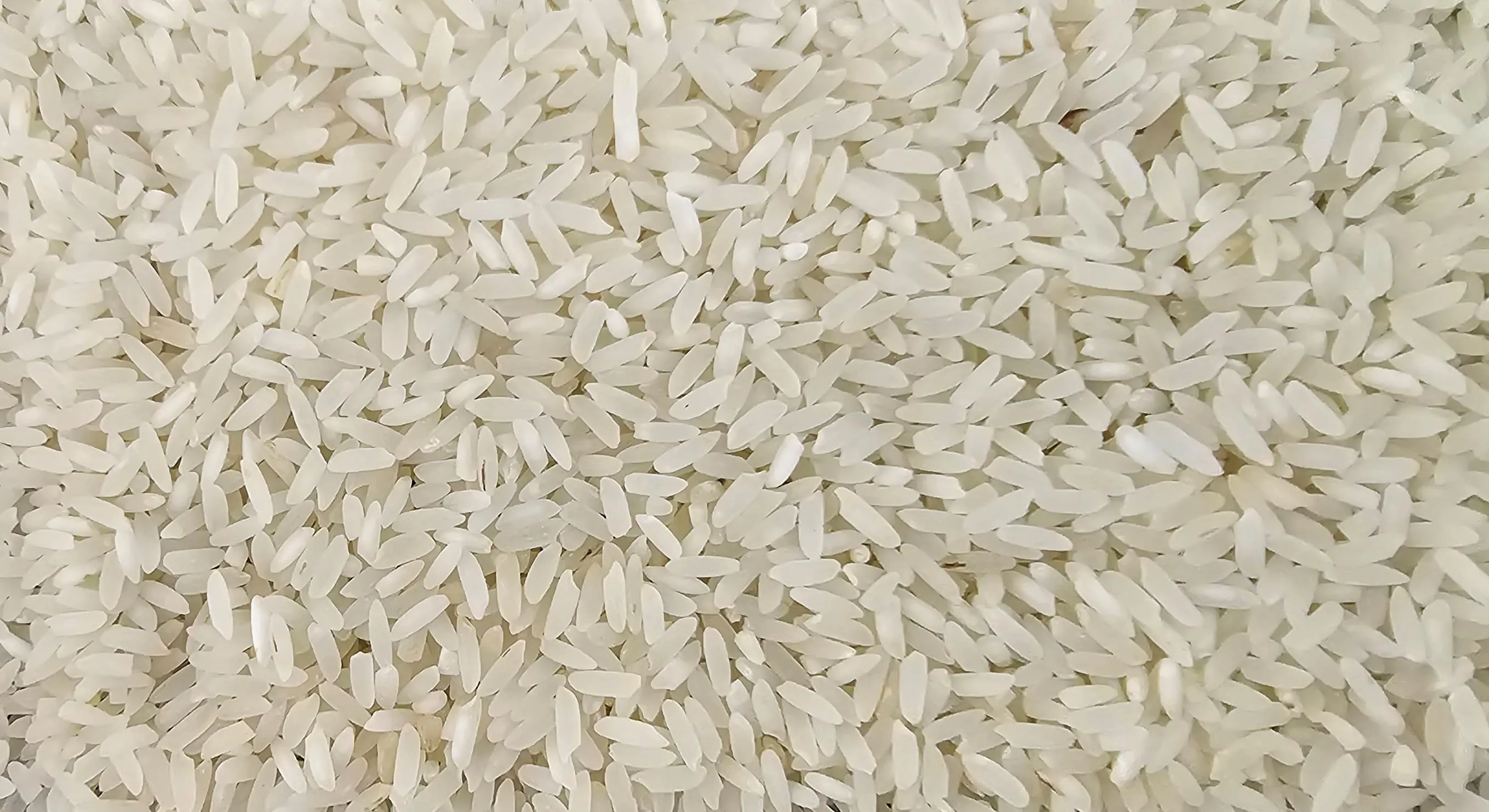 Sona Masoori Raw Rice from UrbanFresh Rice Mills