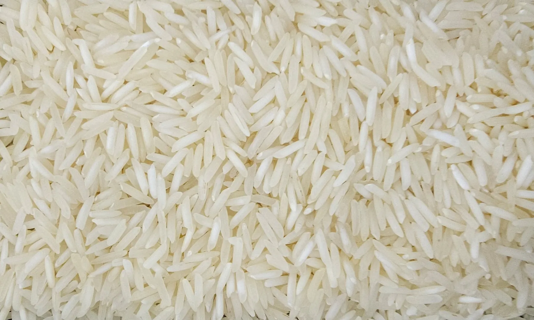 Traditional Raw Basmati Rice from UrbanFresh Rice Mills